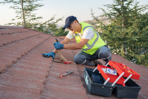 Best Commercial Roofing Services  in Ionia, MI
